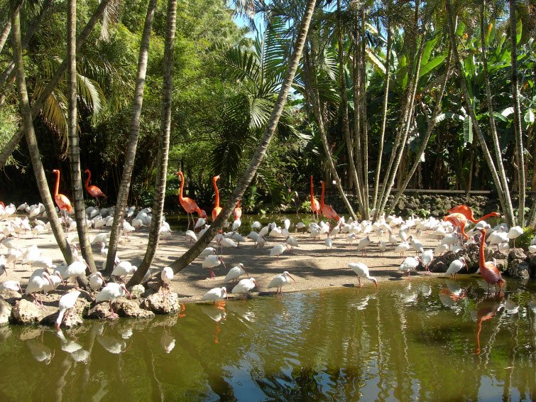 Flamingo Gardens, United States